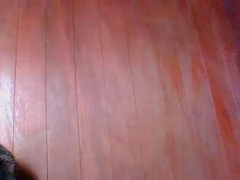 Annisof online show from 04-25-26, 01:41