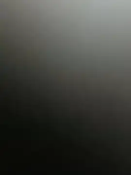 Misteriousecat online show from 05-03-26, 02:56