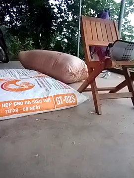 Nana-bibi online show from 05-20-26, 10:16
