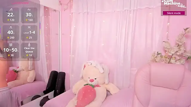 ShanelleDupont  online show from 07-06-26, 02:25