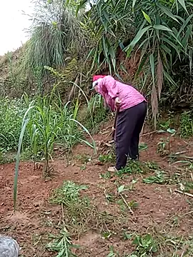 yaja-chan online show from 05-20-26, 02:07