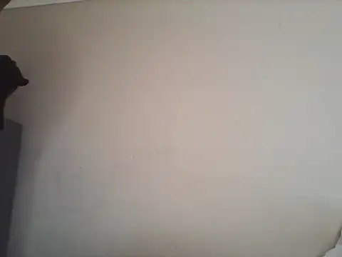 Tbangs  online show from 06-13-26, 01:20
