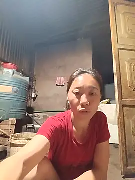 Jinli 01 online show from 05-31-26, 09:49