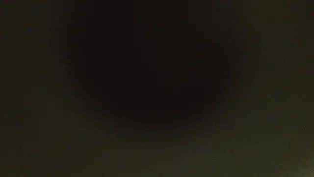 herpuppypeter online show from 05-15-26, 01:45