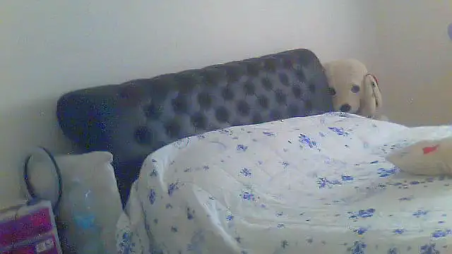 Snapshot of Alaska-perla chatting on 06-26-26, 09:14 Alaska-perla online show from 06-26-26, 09:14