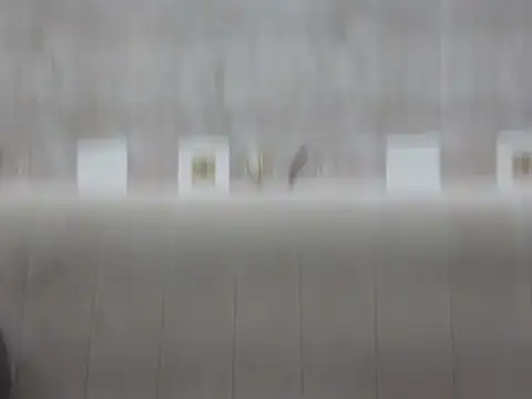 hey darling  online show from 06-12-26, 01:10