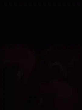 hotwife2217 online show from 06-10-26, 12:00