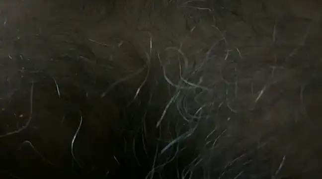 SatBull007 online show from 01-18-25, 06:10