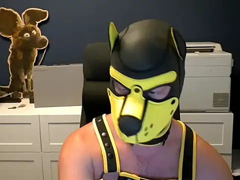 WildyLynx online show from 07-04-26, 10:38