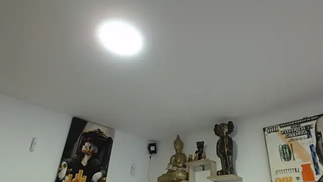Novaluxee online show from 07-21-26, 11:18