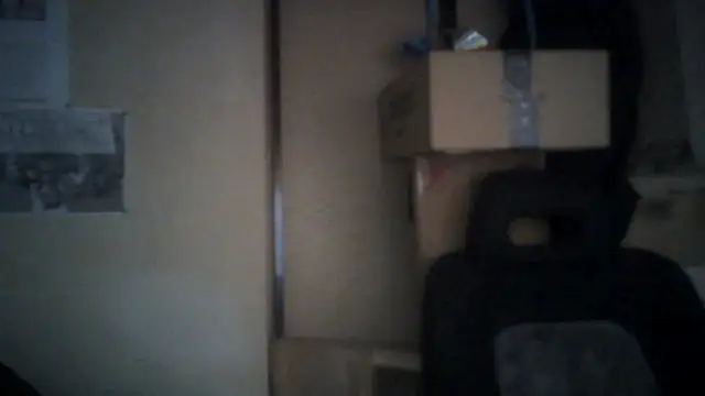 naodanuki online show from 08-08-26, 01:57
