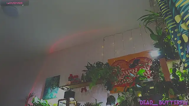 Dead Butterfly online show from 12-18-24, 11:02