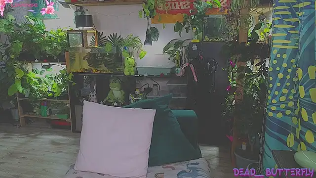 Dead Butterfly online show from 02-16-25, 04:20