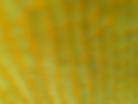 OGXXXOG online show from 03-16-25, 07:17