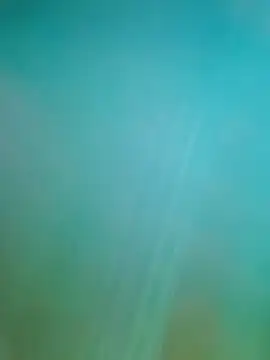 Steveschaw online show from 02-19-25, 11:04