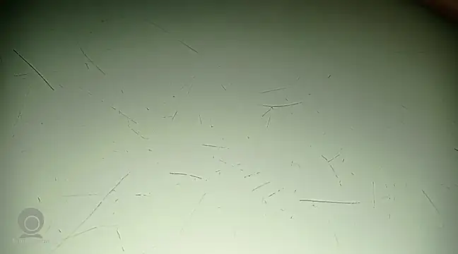 Just for trans online show from 02-21-25, 03:10