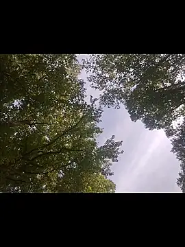 Biknight online show from 04-25-26, 01:41