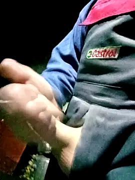 Pokaz2020 online show from 09-29-25, 07:40