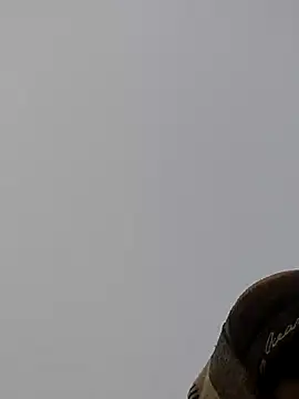 ThethunderPo online show from 12-27-24, 01:43