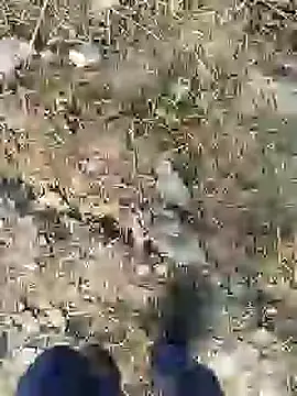 ThethunderPo online show from 12-28-24, 02:43