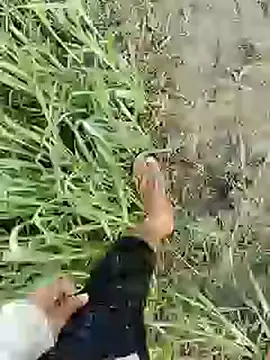 ThethunderPo online show from 02-19-25, 01:51