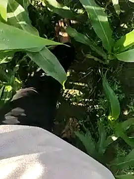 ThethunderPo online show from 03-19-25, 02:48