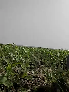 ThethunderPo online show from 02-05-26, 05:45