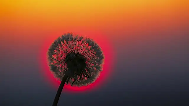 Sunning2 online show from 09-16-25, 09:43