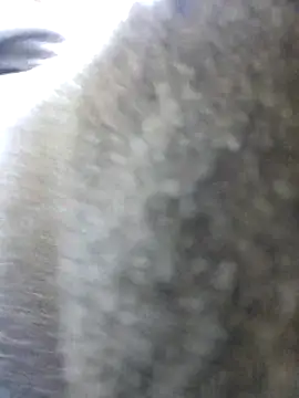 Snapshot of UncutHammer69 chatting on 10-26-25, 11:53 UncutHammer69 online show from 10-26-25, 11:53