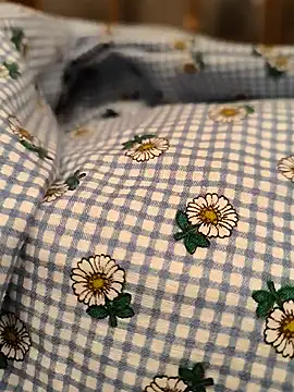 geilerboy2628 online show from 03-13-26, 02:07