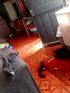 2soyte online show from 09-26-25, 08:29