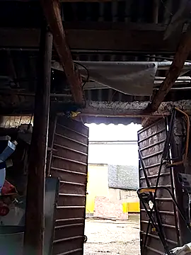 Snapshot of sarpe4 chatting on 10-04-25, 05:27 sarpe4 online show from 10-04-25, 05:27