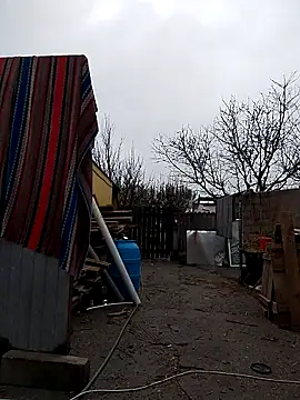 Snapshot of sarpe4 chatting on 11-09-25, 08:56 sarpe4 online show from 11-09-25, 08:56