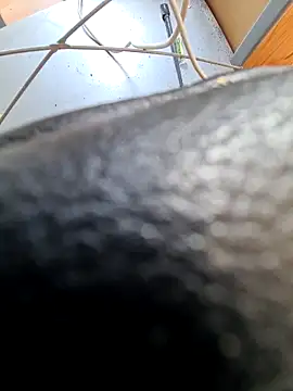 PetePro1989 online show from 04-08-26, 12:49