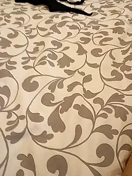 Snapshot of Bull8 chatting on 03-16-25, 06:01 Bull8 online show from 03-16-25, 06:01