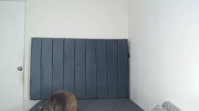 Chanelsexyy online show from 03-06-25, 11:53