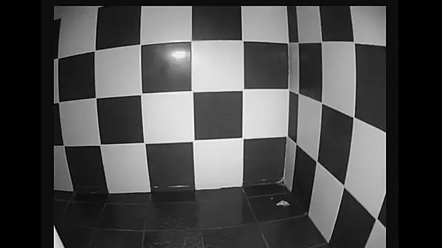 lysergic47 online show from 01-28-25, 11:07