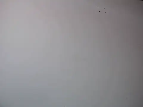 Snapshot of Mia_davis01 chatting on 01-12-25, 08:14 Mia davis01 online show from 01-12-25, 08:14