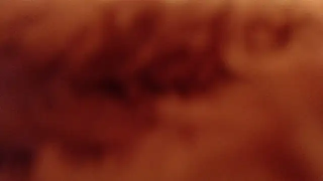 Snapshot of larawet chatting on 01-04-25, 11:17 larawet online show from 01-04-25, 11:17