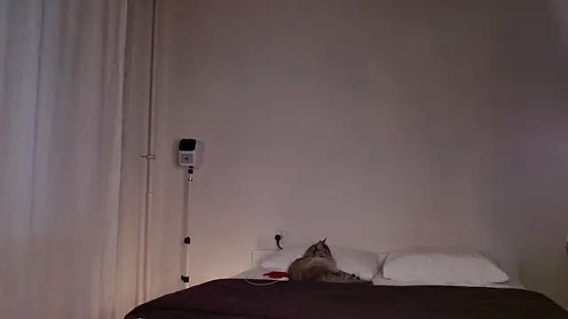 Milky   Way online show from 10-05-25, 03:10