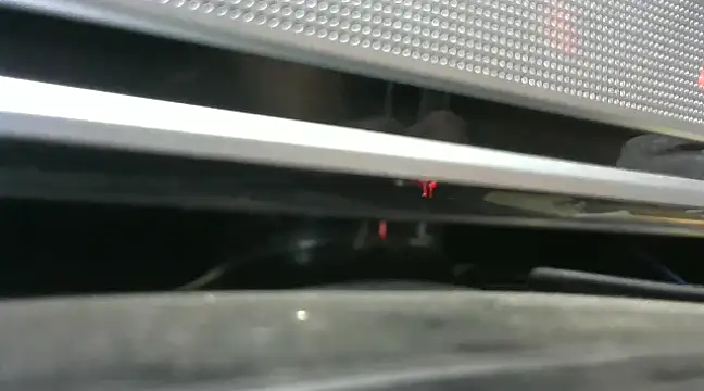 Snapshot of gauchors20 chatting on 12-26-24, 01:51 gauchors20 online show from 12-26-24, 01:51