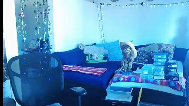 Snapshot of mycock2474u chatting on 02-25-25, 03:38 mycock2474u online show from 02-25-25, 03:38