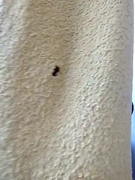 Snapshot of david_geam chatting on 03-20-26, 06:51 david geam online show from 03-20-26, 06:51