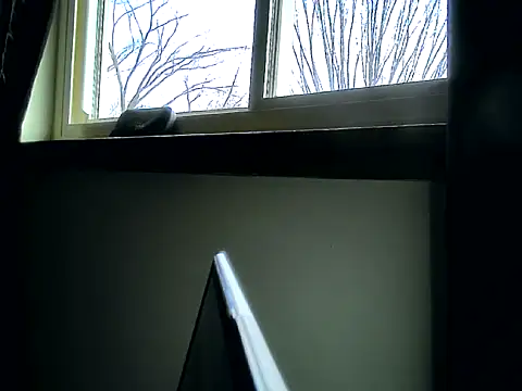 longdick4you8686 online show from 02-12-25, 03:05