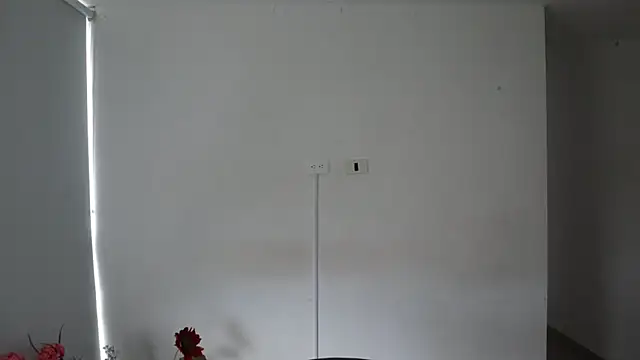 Snapshot of _Vahos_ chatting on 02-14-25, 06:40 Vahos online show from 02-14-25, 06:40