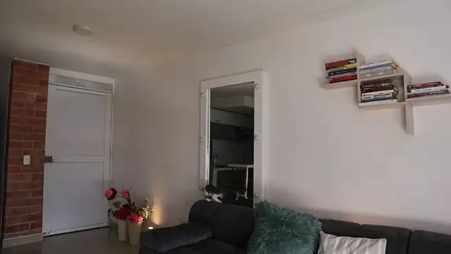 Snapshot of _Vahos_ chatting on 11-28-25, 05:15 Vahos online show from 11-28-25, 05:15