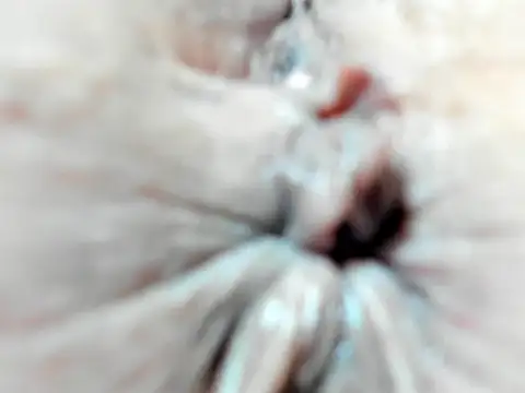 Snapshot of foxy-porn1 chatting on 02-03-25, 09:07 foxy-porn1 online show from 02-03-25, 09:07