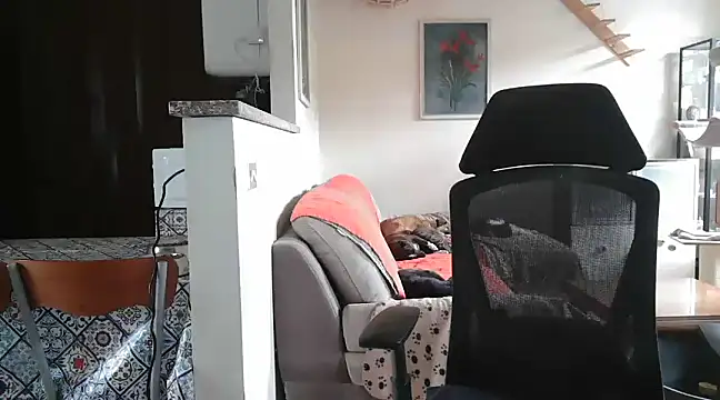 Snapshot of simona60 chatting on 02-23-25, 02:14 simona60 online show from 02-23-25, 02:14