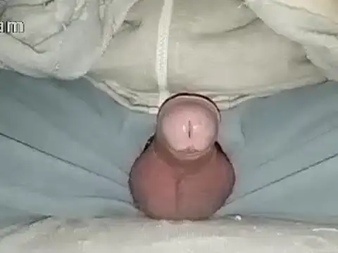 Bigdick666cm online show from 01-31-25, 06:47