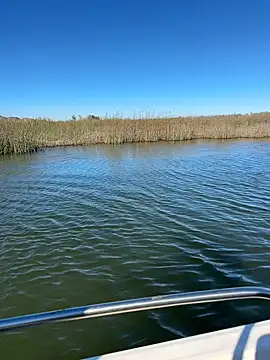 Snapshot of Goonwithoutclinching chatting on 01-10-26, 09:16 Goonwithoutclinching online show from 01-10-26, 09:16